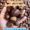 hạt dẻ